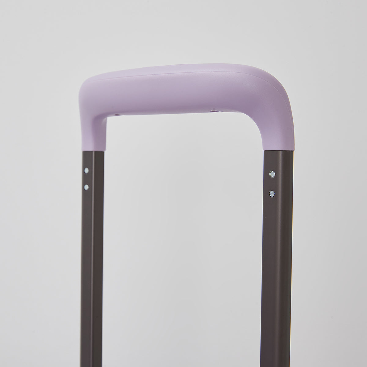Riseloo 20" Lavender Hardshell Carry-On